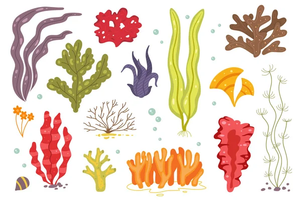 Iconos de algas vectoriales aislados en whire. Corales marinos y plantas marinas submarinas. Clorella, espirulina, fucus e iconos externos . — Archivo Imágenes Vectoriales