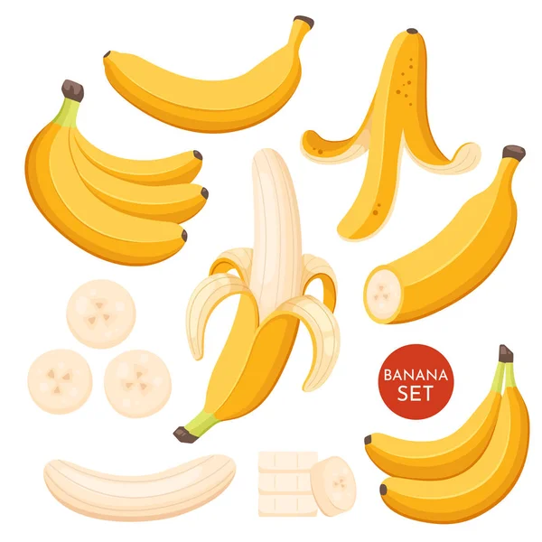 Zestaw ilustracji kreskówki żółte banany. Pojedyncze, skórki bananów i pęczki świeżych owoców bananowych. — Wektor stockowy
