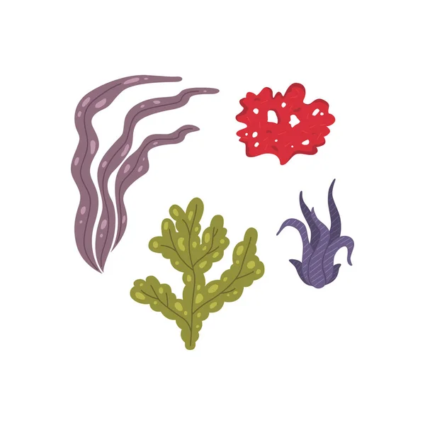 Iconos de algas vectoriales aislados en whire. Corales marinos y plantas marinas submarinas . — Archivo Imágenes Vectoriales