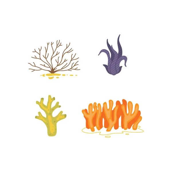 Vector seaweed icons isolated on whire. Sea coral and underwater marine plants. — Stock Vector