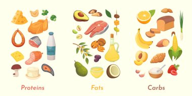 Macronutrients vector illustration. Main food groups : proteins, fats and carbohydrates. Dieting, healthy eating concept. clipart