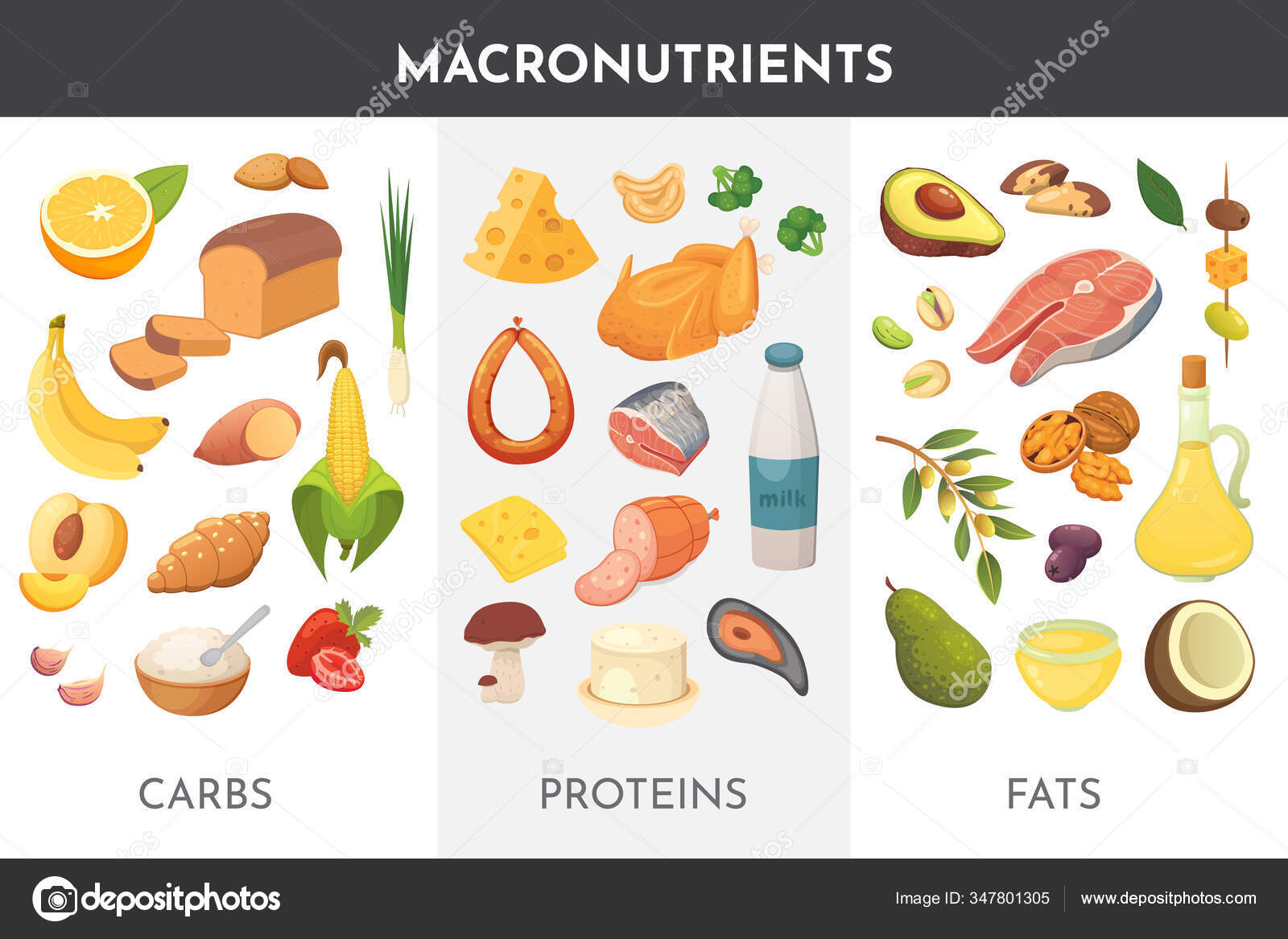 vecteur d'aliments sains. régime alimentaire pour la vie