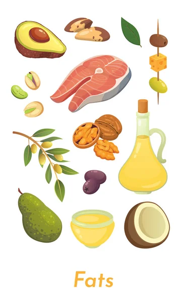 Ensemble de nourriture grasse. Collection d'icônes de graisses vectorielles. Régime alimentaire, délicieux repas : avocat, noix, huile d'olive, saumon et coco . — Image vectorielle