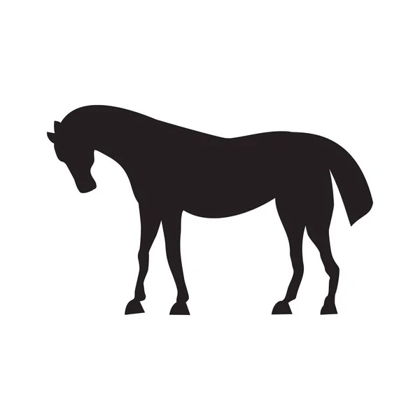 Cute horse standing silhouette vector illustration. — Stock Vector