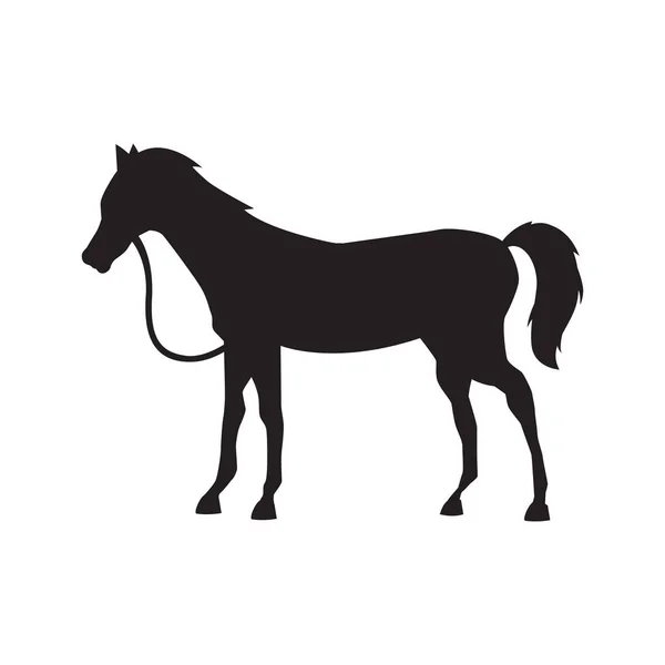 Cute horse standing silhouette vector illustration. — Stock Vector