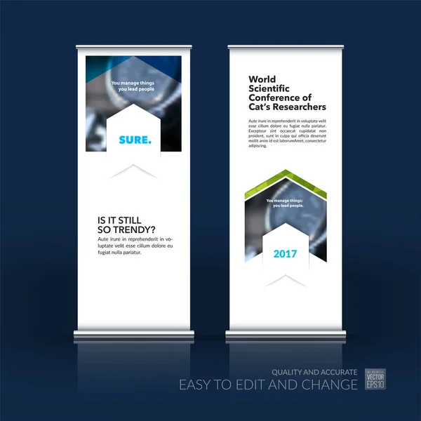 Conjunto abstracto del vector del negocio del rollo moderno Up Banner stand desi — Vector de stock