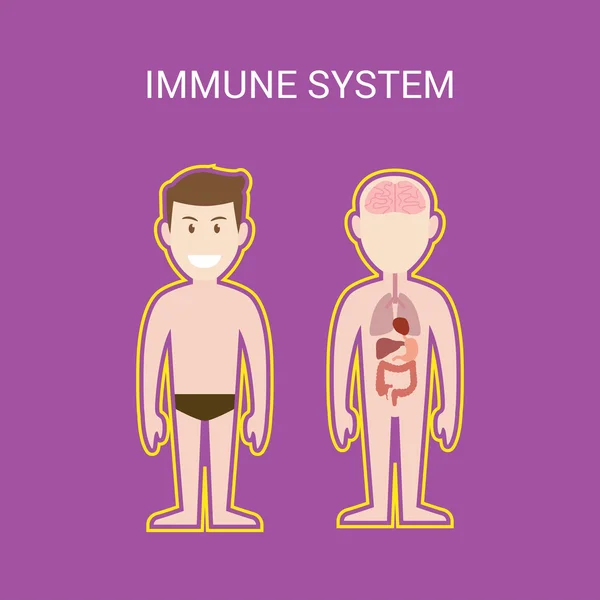 Ilustración del sistema inmunológico con efecto de protección del cuerpo humano de dibujos animados — Archivo Imágenes Vectoriales