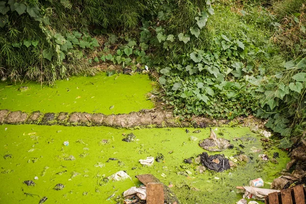 Une photo de fossé sale et moussue verte prise à Semarang Indonésie — Photo