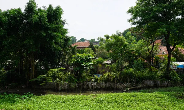 Green garden with small river photo taken in Semarang Indonesia — Stock Photo, Image