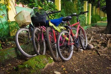 Ağaç fotoğraf Depok Endonezya'da alınan altında Bisiklet Park