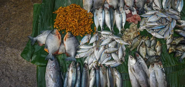 Säljer saltvatten fiskar och räkor ovanpå banana leaf foto taget i Jakarta Indonesien — Stockfoto