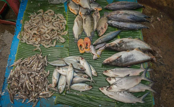 Selling saltwater fishes on top of banana leaf photo taken in Jakarta Indonesia — Stock Photo, Image