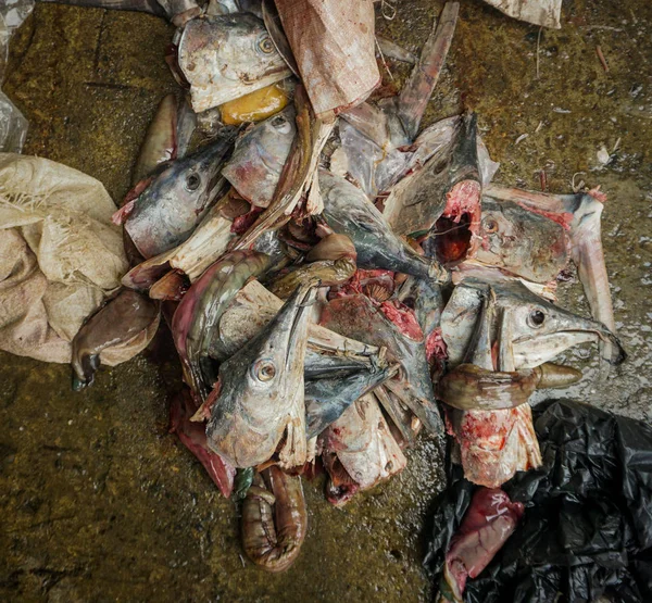 Slaktkroppar av fisk med huvud på bottenvåningen traditionella marknaden foto taget i Jakarta Indonesien — Stockfoto