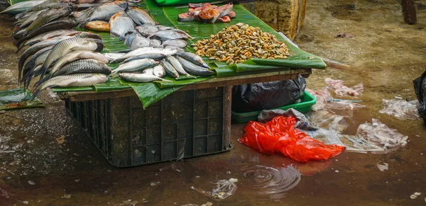 Olika slags fisk säljs i traditionella marknaden foto taget i Jakarta Indonesien — Stockfoto