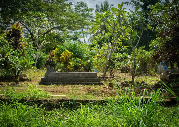 Cmentarz z kamienie wokół przez zielony ogród z drzew i krzewów zdjęcie zrobione w Indonezji Bogor — Zdjęcie stockowe
