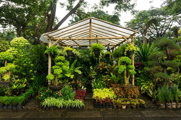 vertical garden arranged by hanging plant and flower sell by florist photo taken in Jakarta Indonesia