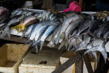 Balık orkinos bogor Endonezya geleneksel piyasada çeşitli tür