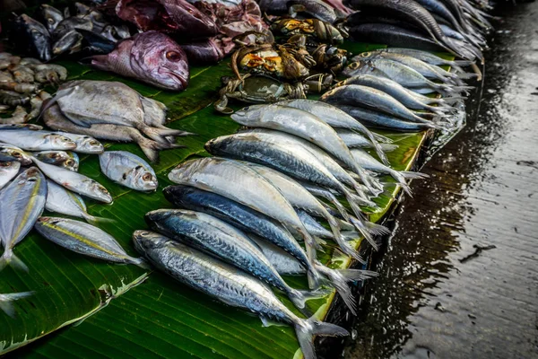 Varios tipos de pescado en hoja de plátano en el mercado tradicional en la indonesia de bogor — Foto de Stock