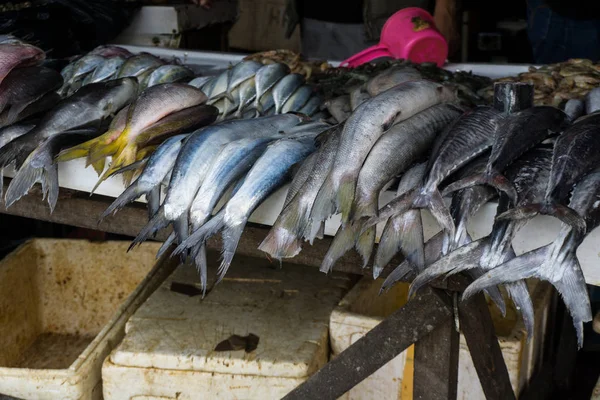 Varios tipos de atún de pescado en el mercado tradicional de la indonesia de bogor — Foto de Stock