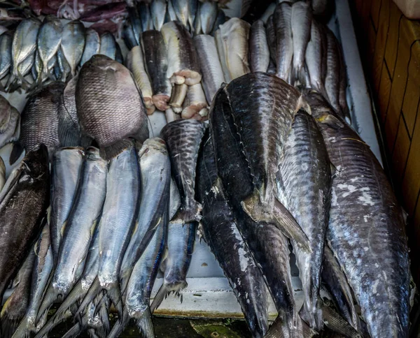 Varios tipos de pescado en el mercado tradicional de la indonesia de bogor — Foto de Stock