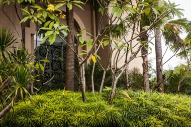 güzel yeşil Bahçe park önünde jogja yogyakarta Endonezya'da buidling fotoğraf