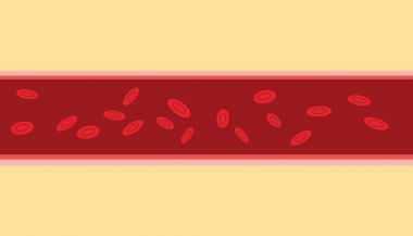 normal insan kan damar düz stil ile hücre akış akış