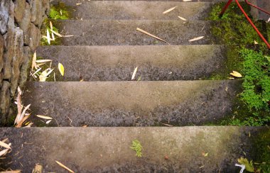 Yeşil yosunlu eski, çatlamış beton basamaklar..