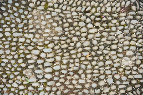 Pedregulhos Coloridos São Colocados Lindamente Parque — Fotografia de Stock