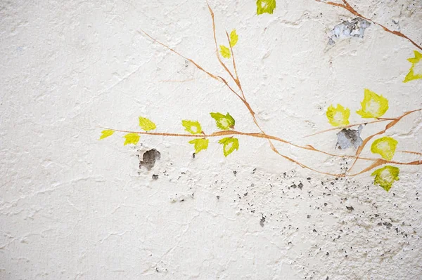 Yaprakları Olan Bir Ağaç Dalının Alçılı Duvarındaki Soyut Çizimler — Stok fotoğraf
