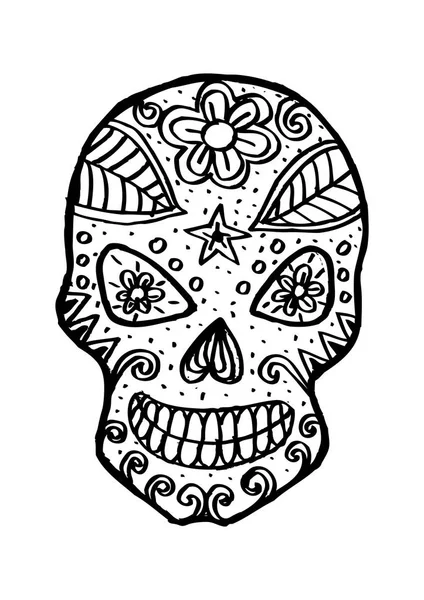 Human skull in zentangle style. — Stock Photo, Image