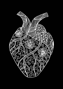 Elle çizilmiş insan kalbi. Doodle stili.