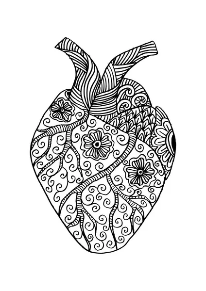 Elle çizilmiş insan kalbi. Doodle stili.