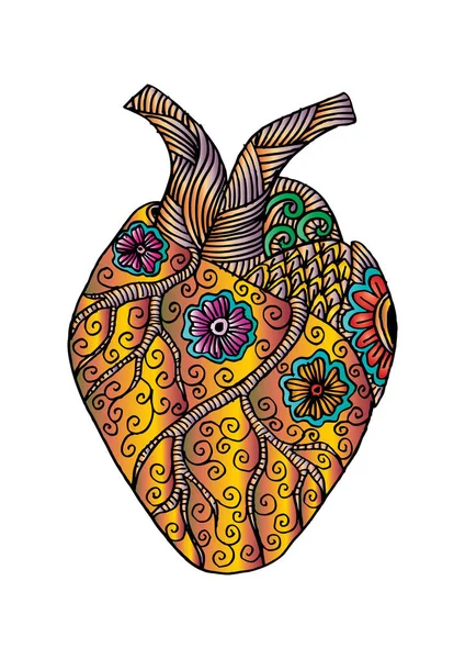 Handritad mänskliga hjärtat. Doodle stil. — Stockfoto
