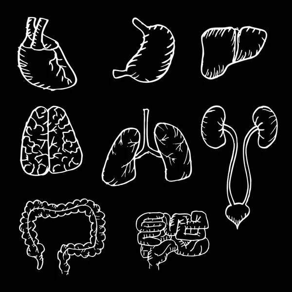 Órganos humanos internos iconos dibujados a mano con corazón, cerebro, pulmones, hígado, riñones, intestino, estómago . — Foto de Stock