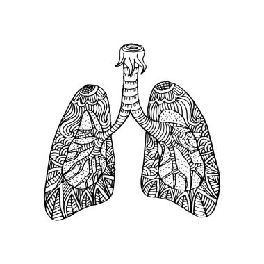 Akciğerler Illustration. İnsan organı çizim doodle.
