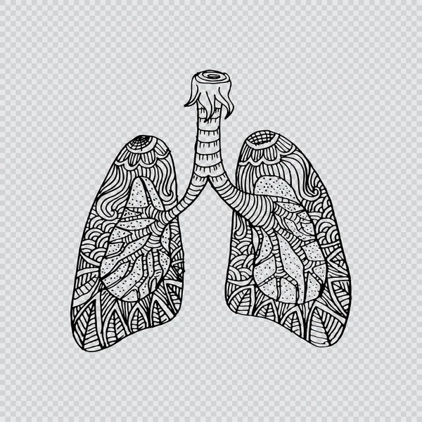 Illustratie van de longen. Doodle tekening van menselijke orgel. — Stockfoto
