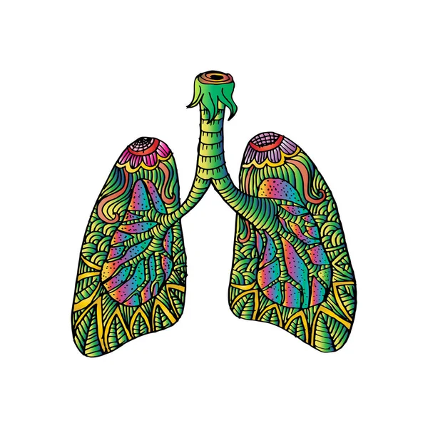 폐의 그림입니다. 인간 장기의 그리기 낙서. — 스톡 사진
