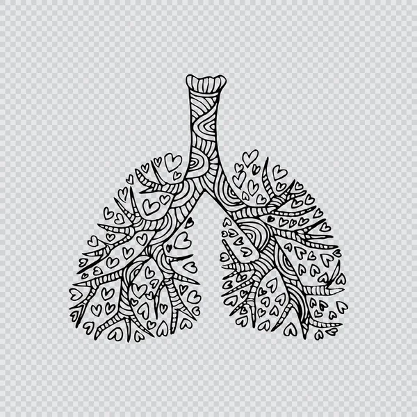 Lungs. Doodle drawing of human organ.