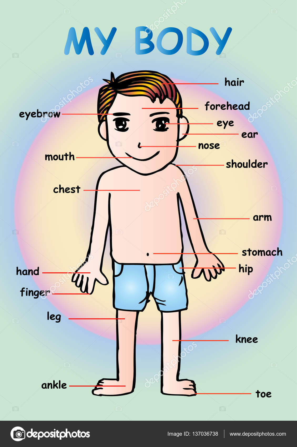 Body parts chart for kindergarten | My body", educational info graphic chart for kids showing ...