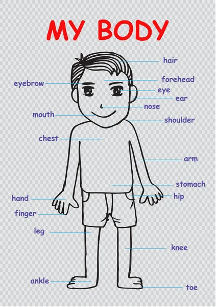 Το σώμα μου», εκπαιδευτικές πληροφορίες γραφικό διάγραμμα για παιδιά δείχνει μέρη του ανθρώπινου σώματος ενός αγοριού χαριτωμένο cartoon — Φωτογραφία Αρχείου