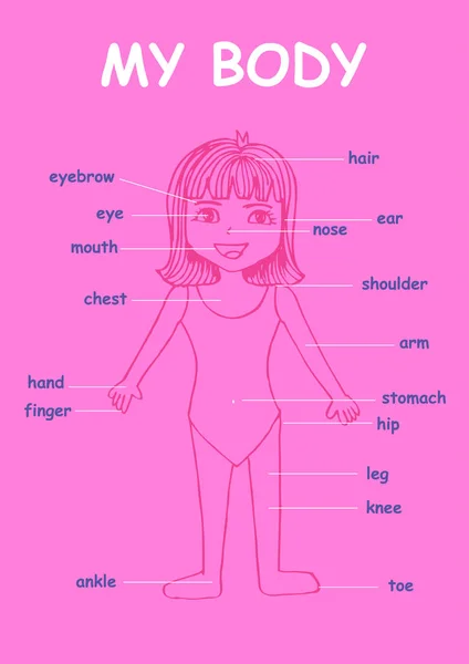 Το σώμα μου», εκπαιδευτικές πληροφορίες γραφικό διάγραμμα για παιδιά δείχνει μέρη του ανθρώπινου σώματος από μια χαριτωμένη γελοιογραφία κορίτσι. — Φωτογραφία Αρχείου