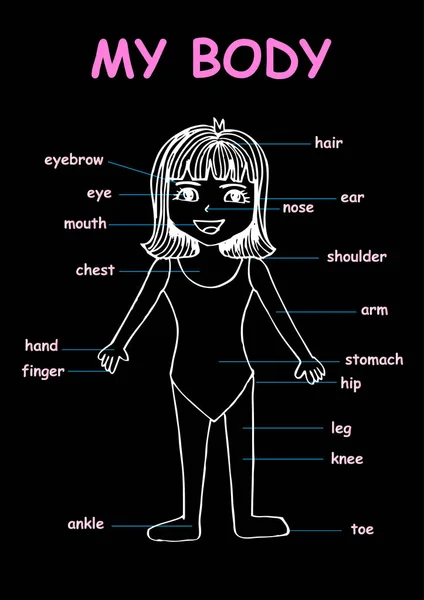 Mi cuerpo ", carta gráfica de información educativa para niños que muestran partes del cuerpo humano de una linda chica de dibujos animados . —  Fotos de Stock