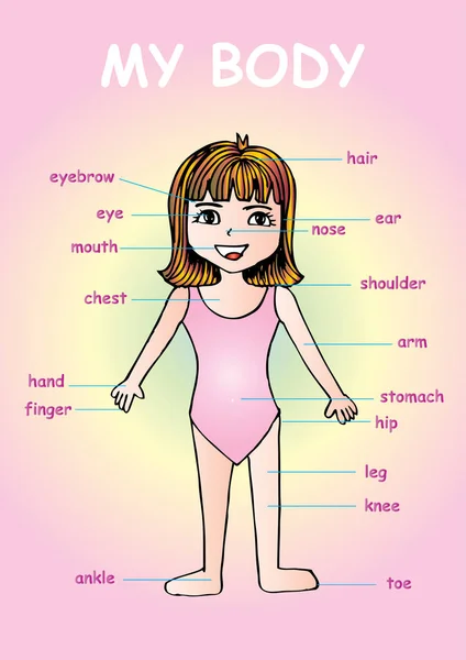 かわいい漫画の女の子の人間の体の部品を示す子供たち私の体」、教育情報のグラフ. — ストック写真
