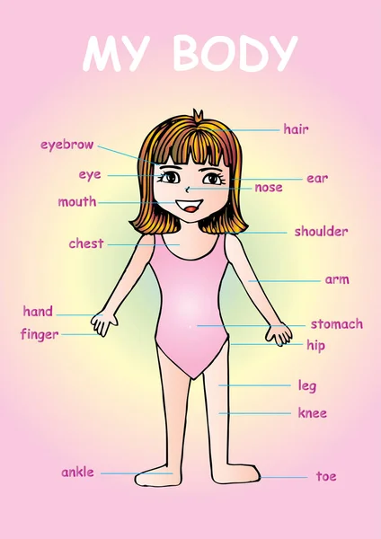 My body", educational info graphic chart for kids showing parts of human body of a cute cartoon girl. — Stock Photo, Image