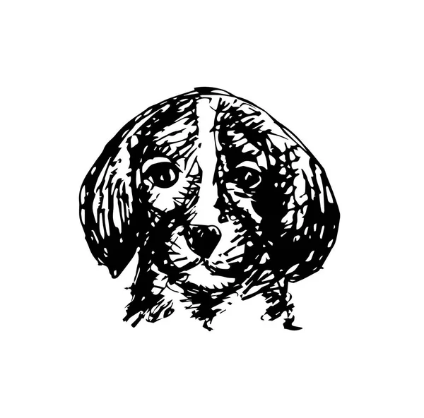 Skizze Eines Niedlichen Hundes — Stockfoto
