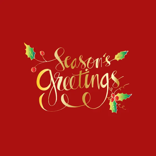 Seasons Greetings Handskrivna Bokstäver — Stockfoto