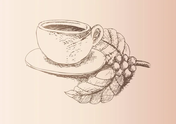 コーヒー カップ 豆のスケッチ — ストック写真