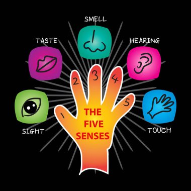 Beş duyu Icon set