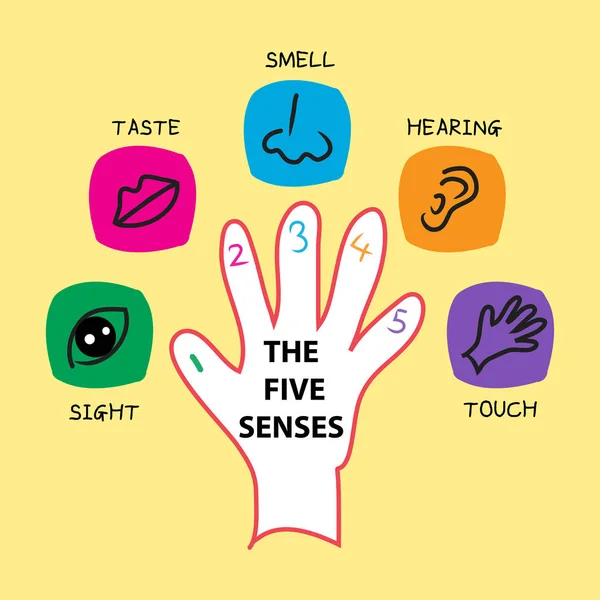 Five Senses Icon Set — Stock Photo, Image
