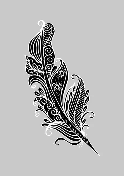 Feather Birds Hand Drawing — Stock Photo, Image